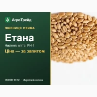 Купити нвсіння пшениці Етвнв - елітв, РН-1, д0кументи