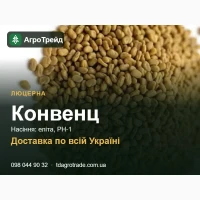 С0рт08е нвсіння люцерни К0н8енц