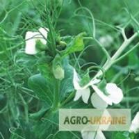 Гербицид Базагран 48 %, купить, цена, продажа, Доставка по Украине. Цена 10$ л. Оригинал