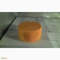 Продам!!!!!!! Cырный продукт