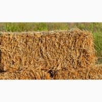 Солома ржаная в тюках на мульчу