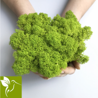 Стабилизированный декоративный мох из Скандинавии, насыщенно зеленый