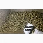 Продам буряк кормовий, польський, . Еко виробництво