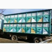 Продам пчелопавильон