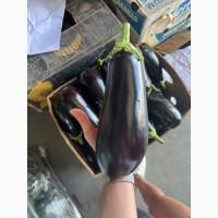 Баклажан Румыния