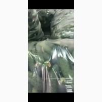 Продам Огурцы