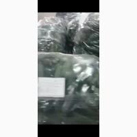 Продам Огурцы