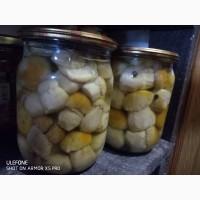 Гриби білі, мариновані, Закарпаття