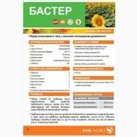 Насіння соняшника гібрид БАСТЕР