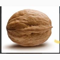 Продам горіхи завжди в наявності