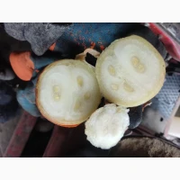 Штутгарт