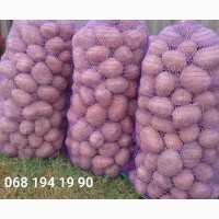 Продам товарну картоплю, сорт Беллароза