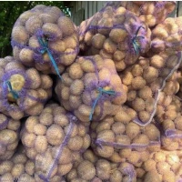 Продам картоплю сорт Рівєра, МЕЛОДІ