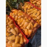 Продам перец