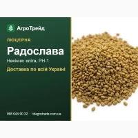 Люцерна Радослава: продаж насіння, еліта, РН-1