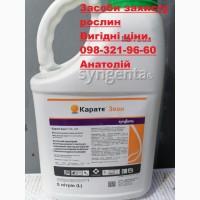 Регент 20G, Кораген 20SC, Карате Зеон 050 CS, Лучшие цены, Скидки, Бесплатная доставка