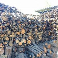 Продам дрова фруктовых деревьев