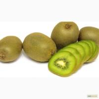 Киви Ківі Оптом Гуртом Испания любого калибра