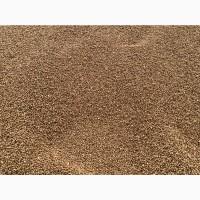 Амофос 11:52; аммофос 11:52 Марокко