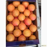 Продам Грейпфрут (Турция)