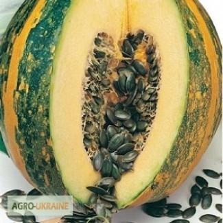Продам семена Тыква голосемянная Гамлет