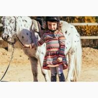 Продаю поні