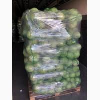 Продам пізню капусту, хорошої якості