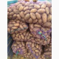 Продам посадочну