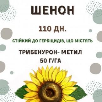 ПРОДАМ!!! насіння соняшника під гранстар - ШЕНОН OR7+ (110дн.)