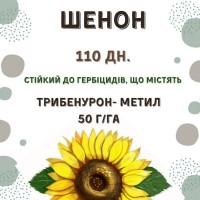 ПРОДАМ!!! насіння соняшника під гранстар - ШЕНОН OR7+ (110дн.)