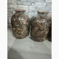Продам грибы маренованы