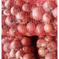 Продам цибулю, буряк столовий