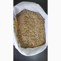 Семена чечевицы зеленой сорт Линза