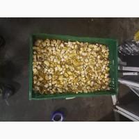 Продам Білий гриб, кубик морожений