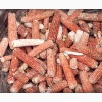 Куплю пустой качан кукурузы (очищеный)