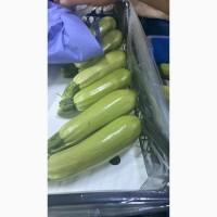 Предлагаем Цукини