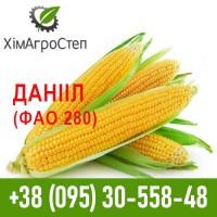 Насіння гібриду кукурудзи Данііл (ФАО 280)