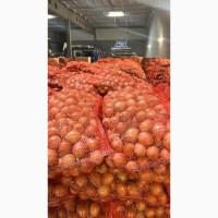 Продам цибулю, мережева якість від 3.50 грн/кг