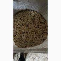 Продам гарбузове насіння 2 тони