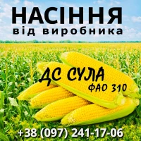 Насіння кукурудзи ДС Сула ФАО 310 / від виробника Agro_Exprt