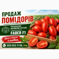 Помідори сливка Faber F1