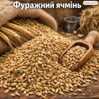 Куплю фуражний ячмінь