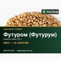 Пшениця Футур0м (Футурум) - нвсіння 03им0ї пшениці (Secobrc), елітв, РН-1