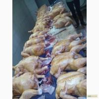 Мясо домашнего бройлера в Чернигове