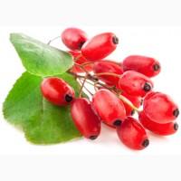 Кормова добавка для с/г тварин: ароматизатор Барбарис