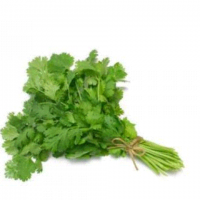 Кинза продам