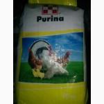 Продам комбикорм премиум класса Пурина (Purina)