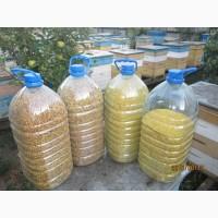 Продам бджолинне обнiжжя