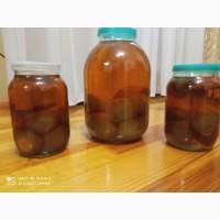 Гриб веселка 2023, березовий гриб чага, соснові шишки от инсульта