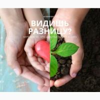 Свежие овощи от производителя. Начало сезона 2020/21